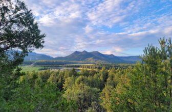 The Little Issues Publication #427 – Life, laughter, and many nice meals!