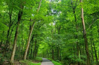 The Little Issues E-newsletter #428 – Life, laughter, and many nice meals!