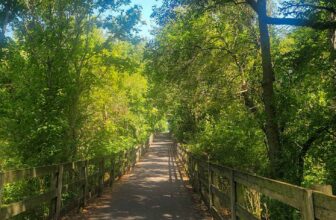 The Little Issues E-newsletter #431 – Life, laughter, and many nice meals!