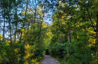 The Little Issues E-newsletter #432 – Life, laughter, and many nice meals!