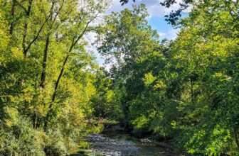 The Little Issues E-newsletter #434 – Life, laughter, and many nice meals!