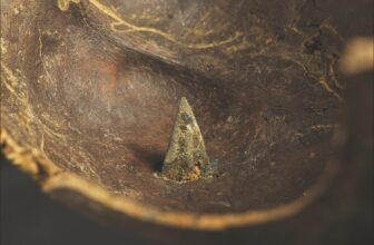 ‘Europe’s Oldest Battlefield’ Simply Received Stranger With New Proof of Outsiders Concerned