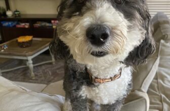 9.7 Friday Faves (and a giveaway)