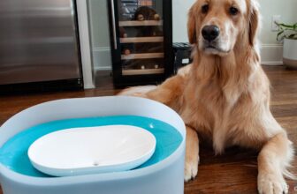 Petlibro Capsule Canine Fountain assessment: My golden is spoiled