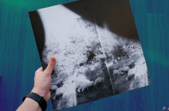 5 causes audiophiles hearken to vinyl data