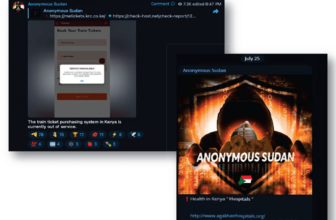 Two Sudanese brothers accused of launching a harmful sequence of DDoS assaults