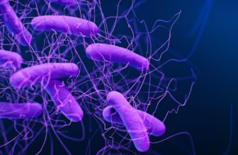 Covid Vaccine Tech Is Being Used to Combat a Nasty, Diarrhea-Inflicting Micro organism