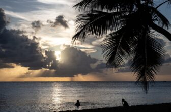 One other Tech Billionaire-Backed City Undertaking Will get $525 Million in Funding