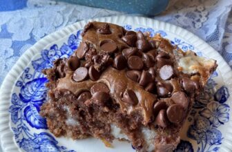 CHOCOLATE EARTHQUAKE CAKE – The Southern Girl Cooks