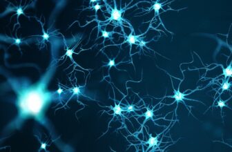 Scientists Revive Pig Brains an Hour After Demise With Experimental Methodology