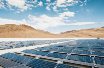 What are the candidates’ insurance policies on EVs and clear vitality?