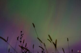 The right way to use Photoshop AI’s new distraction elimination instrument