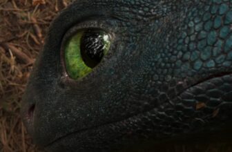 How you can Practice Your Dragon Director Justifies the Stay-Motion Movie’s Existence