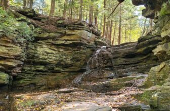 The Little Issues E-newsletter #443 – Life, laughter, and many nice meals!