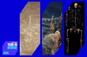 The Coolest Archaeological Discoveries of 2024