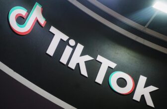 TikTok loses its bid to pause the regulation that would ban it subsequent month