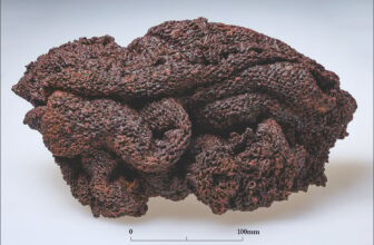 How the Roman Military Repaired Its Armor Far From Residence