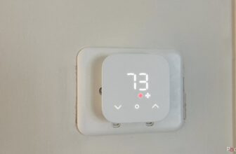 Amazon Good Thermostat assessment: saving money and time