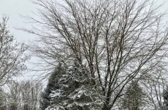 The Little Issues E-newsletter #451 – Life, laughter, and many nice meals!