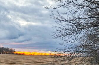 The Little Issues E-newsletter #454 – Life, laughter, and plenty of nice meals!