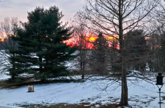 The Little Issues Publication #455 – Life, laughter, and many nice meals!