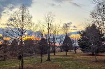 The Little Issues Publication #458 – Life, laughter, and plenty of nice meals!