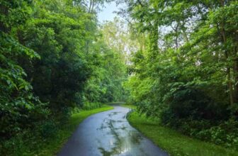 The Little Issues Publication #472 – Life, laughter, and many nice meals!