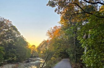 The Little Issues Publication #491 – Life, laughter, and many nice meals!